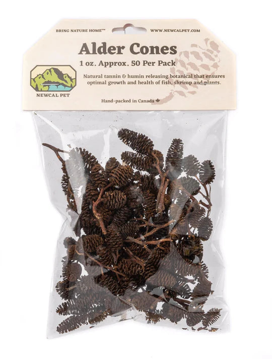 NewCal Alder Cones