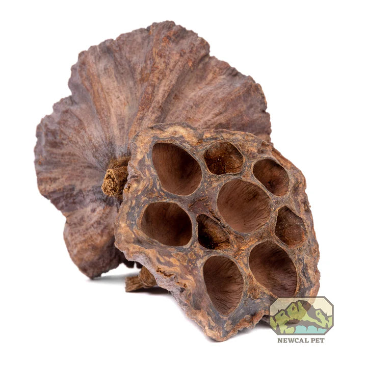 NewCal Lotus Pods, 3-Pack