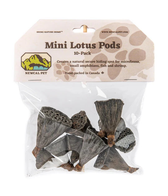 NewCal Lotus Pods Mini, 10-Pack