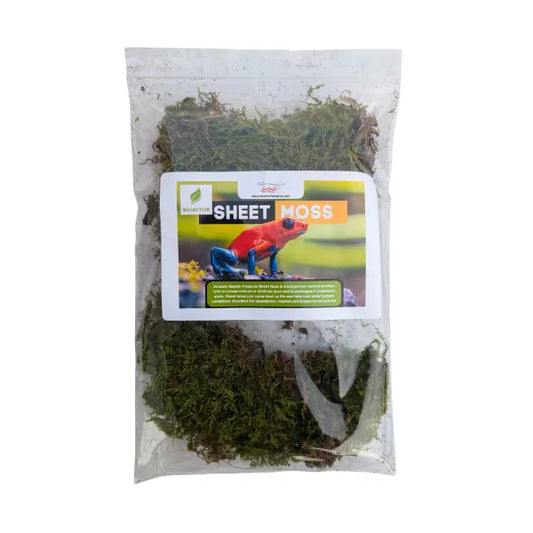 Sheet Moss - 8 x 12 " Cello Pack