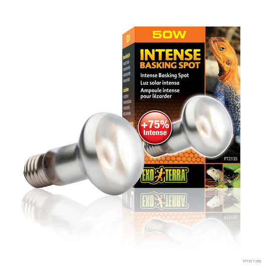 Exo Terra Intense Basking Spot