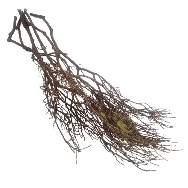 Branchy Manzanita Wood - 3 Pack