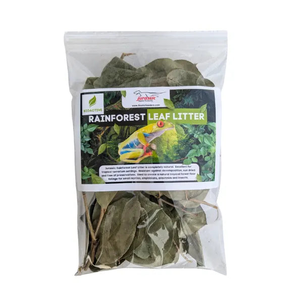 Rainforest Leaf Litter - Cello Pack