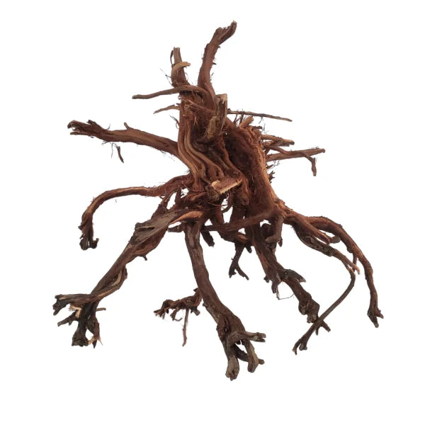 Mekong Wood