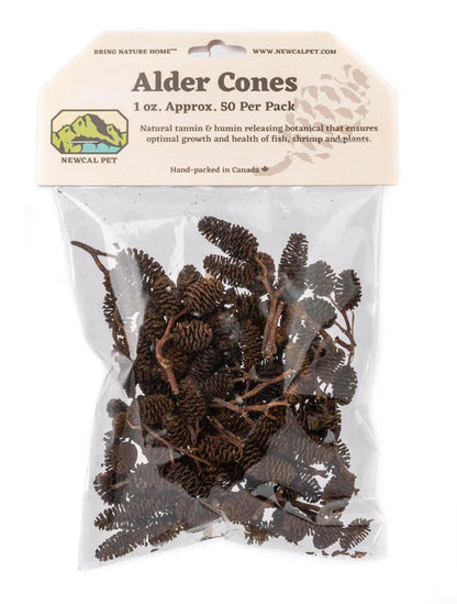 NewCal Alder Cones