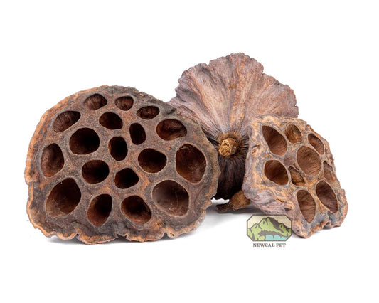 NewCal Lotus Pods, 3-Pack
