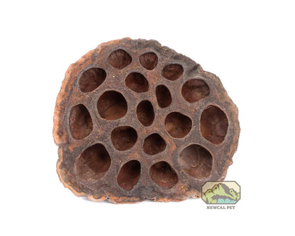 NewCal Lotus Pods, 3-Pack