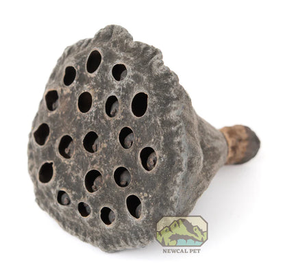 NewCal Lotus Pods Mini, 10-Pack