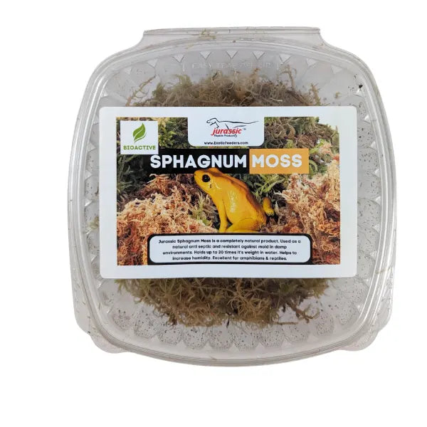 Living, Fresh Sphagnum Moss - Fresh