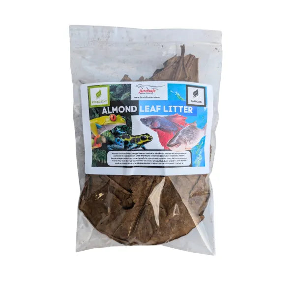 Almond Leaves