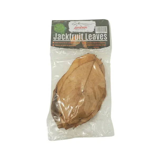 Jackfruit Leaves - Cello Pack