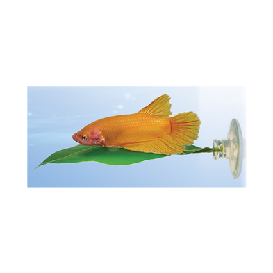 Zoo Med Betta Bed Leaf Hammock – Large