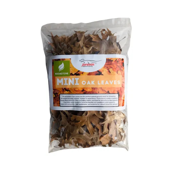 Mini Oak Leaves - Cello Pack