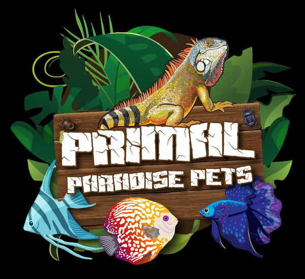 Primal Paradise Exotic Pets